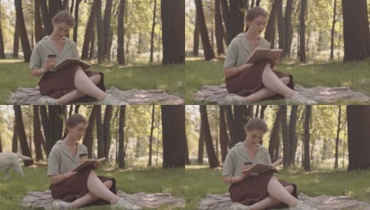 在公园里读书的女人高清在线视频素材下载