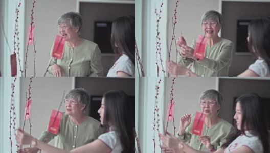 中国新年，老奶奶和她的女儿装饰房子客厅用柳树和红包装饰准备家庭团聚高清在线视频素材下载