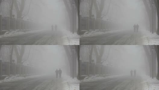 雾气蒙蒙的冬季公园里的公园小巷高清在线视频素材下载