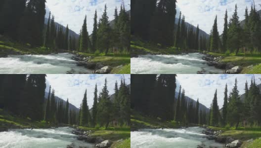 景观与山，冷杉树和河流。天山、吉尔吉斯斯坦高清在线视频素材下载