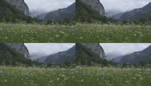 瑞士伯尔尼Lauterbrunnen的野花和瀑布高清在线视频素材下载
