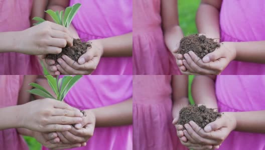 两个女孩举着一把有绿色植物的泥土。保护地球的概念和象征。慢动作拍摄，100帧/秒高清在线视频素材下载