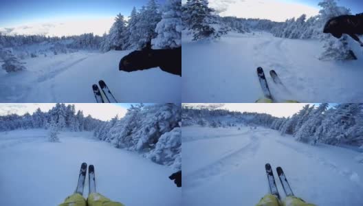 FPV:在美丽的高山滑雪胜地的新雪森林中滑雪高清在线视频素材下载