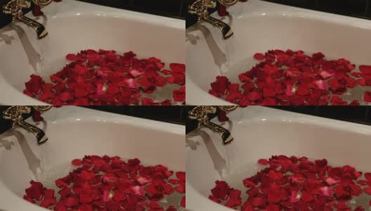用红玫瑰花瓣和水做的黑色浴高清在线视频素材下载