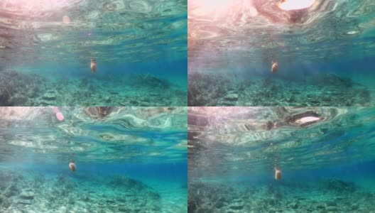 Underwater Scenery高清在线视频素材下载