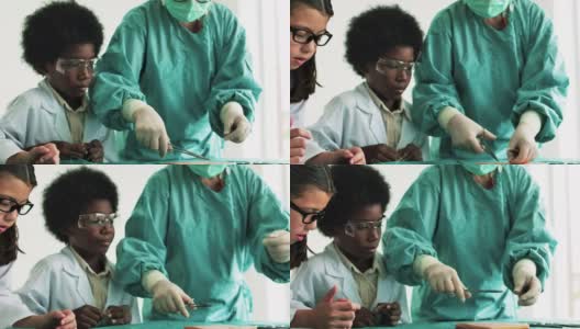 医学生学习使用医疗设备进行缝合。高清在线视频素材下载