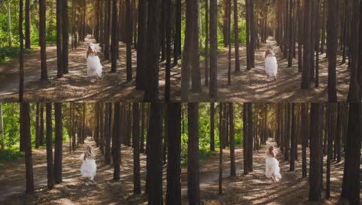 穿着婚纱和雪纺裙的女士在森林中奔跑高清在线视频素材下载