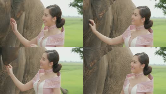温柔的年轻迷人的亚洲女人在传统服装与大象。理念:爱动物，温柔，爱自然。高清在线视频素材下载