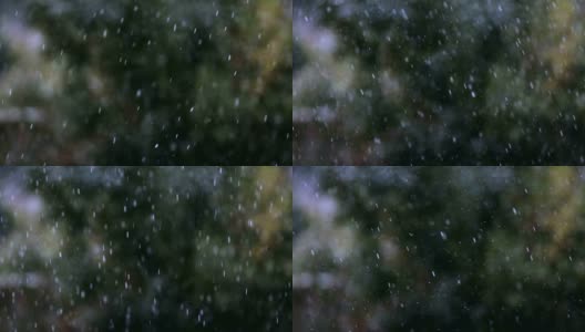 冰雹-树的背景高清在线视频素材下载