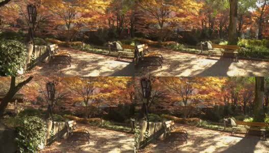 安静的角落里有日本花园的红枫树高清在线视频素材下载