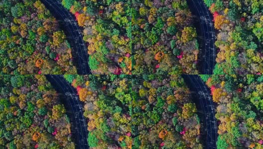 在阿巴拉契亚山，波科诺斯，宾夕法尼亚州的森林道路顶视图，秋天的树叶。空中无人机视频。高清在线视频素材下载