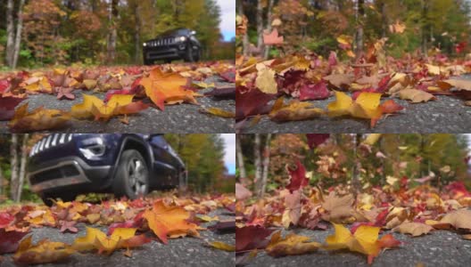 慢镜头近景黑色SUV汽车在森林道路上旋转的秋叶高清在线视频素材下载