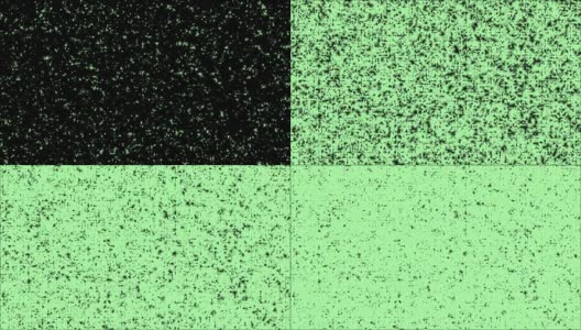 4K美丽的绿色窗口冻结动画，时间推移霜形成过渡，自然结晶结冰，孤立在黑色背景与黑白亮度哑光。运动图形和动画背景。高清在线视频素材下载