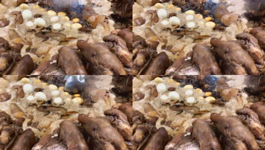 红烧猪腿和煮鸡蛋长传，让沸水渗入肉。泰国街头小吃高清在线视频素材下载