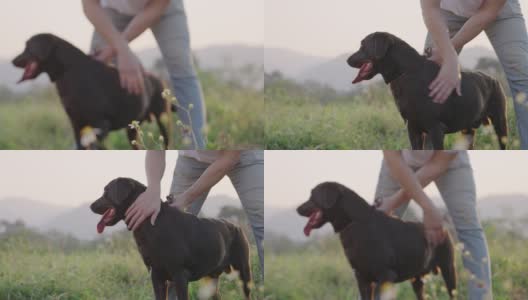 调味春天的概念，陌生男子和他的狗站在一片绿色的草地上，身后是山景，手轻轻地抚摸着他的黑色拉布拉多寻回犬，散步自己的狗，收养了一只狗高清在线视频素材下载