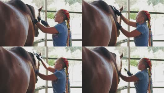 马保健。马稳定。白天，在农场里，一个女人正在为马梳理鬃毛，用刷子。照顾宠物。爱马高清在线视频素材下载