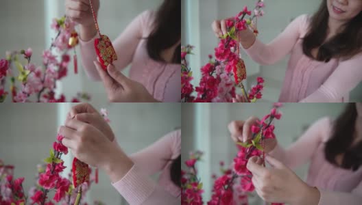 亚洲华人微笑的妇女在樱花上装饰中国新年的装饰品高清在线视频素材下载