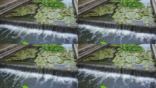 卡罗尔溪在弗雷德里克，马里兰州城市公园与运河和喷泉瀑布在夏天高清在线视频素材下载
