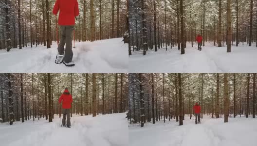 雪地靴行走在北方的森林里高清在线视频素材下载