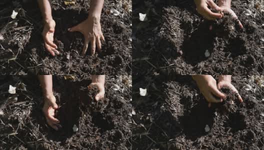 土壤肥力分析由女农民手持耕地耕田土进行质量检查，慢拍高清在线视频素材下载