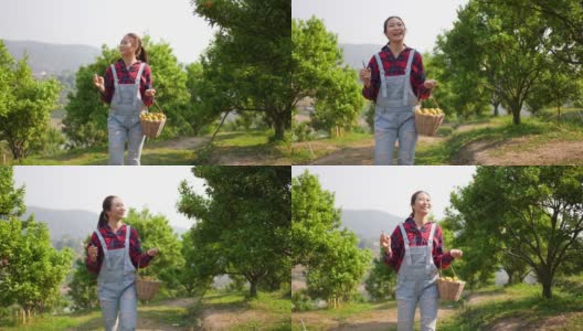 4K亚洲女农民漫步在橘园。高清在线视频素材下载