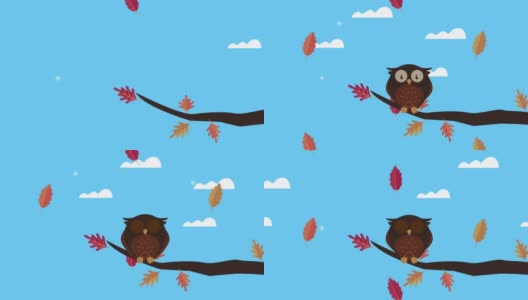 你好秋天动画与猫头鹰在枝高清在线视频素材下载