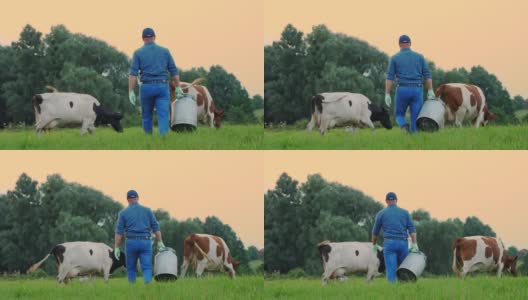 牛奶新鲜。在夕阳下，农夫背着一个装新鲜牛奶的大罐子穿过绿色的草地，背景是正在吃草的奶牛。挤奶。奶牛场。乳制品。农业高清在线视频素材下载
