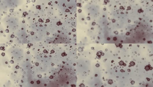 冠状病毒Covid - 19 |的显微镜下观察高清在线视频素材下载