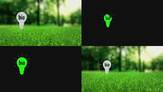 生物纸灯生态概念高清在线视频素材下载