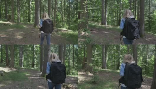 金发女背包徒步旅行者走在山间小径的森林高清在线视频素材下载