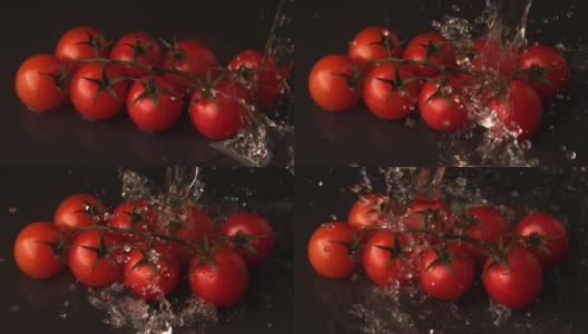 水浇在葡萄藤樱桃番茄上高清在线视频素材下载