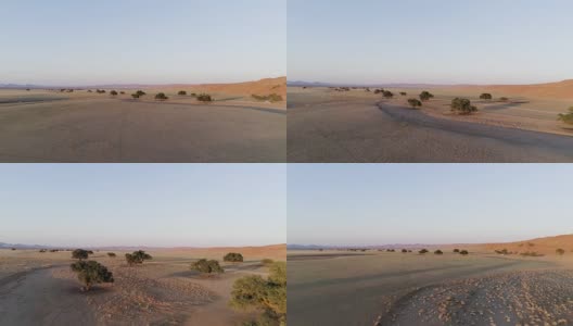 日落时分的纳米比亚沙漠。道路和树木的鸟瞰图高清在线视频素材下载