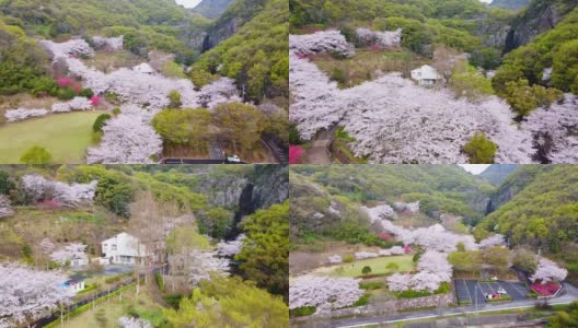 香川县三丰市的春色高清在线视频素材下载