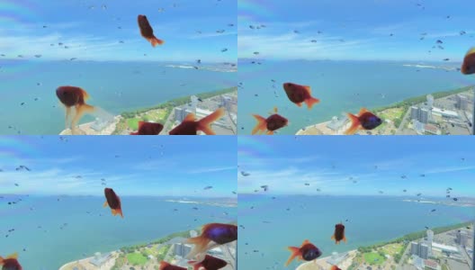 金鱼在蓝天的映衬下优雅地游动高清在线视频素材下载