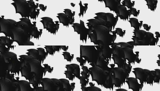 万圣节蝙蝠-万圣节概念-蝙蝠向上拍打翅膀-循环-数以百计的蝙蝠向上冲-万圣节-万圣节蝙蝠飞行无尽的循环-蝙蝠循环-白色背景-黑色颜色- А蝙蝠群高清在线视频素材下载