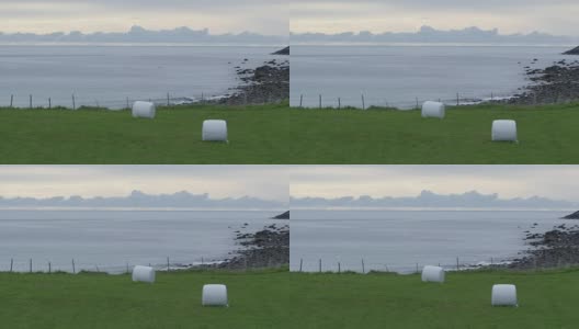 在挪威罗浮敦群岛拍摄的以海洋为背景的绿色田野。高清在线视频素材下载