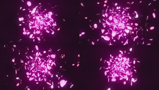 樱花花瓣落在粉红色的背景上，循环闪烁动画，高清在线视频素材下载