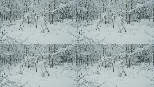 冬天的雪林景观。高清在线视频素材下载