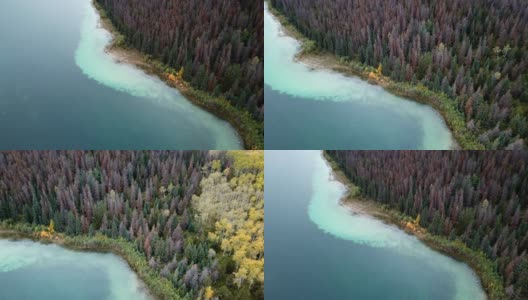 在湖泊与森林之间的狭窄土地上的道路高清在线视频素材下载