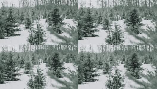 雪花飘落在美丽的灰色冬日风景上高清在线视频素材下载