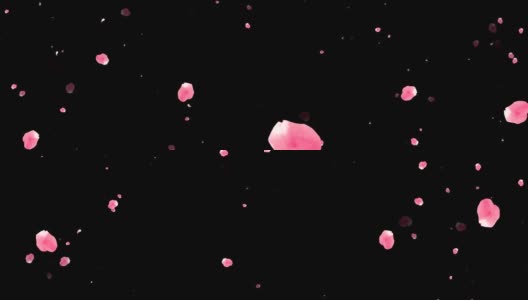 飞舞的红色和粉色玫瑰花瓣在黑色背景4k高清在线视频素材下载
