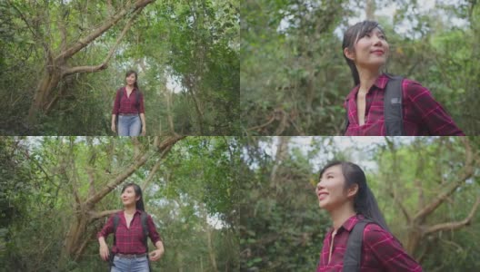 一个年轻的亚洲女人独自在森林里旅行。女孩在大自然中感受着清新、美妙、刺激和放松，环顾四周的风景，然后继续快乐地散步。高清在线视频素材下载