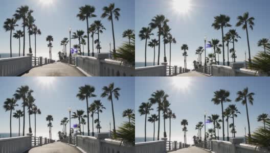 棕榈树和码头，热带海滩，夏天的加州海岸，阳光灿烂的一天美国。耀眼的太阳高清在线视频素材下载