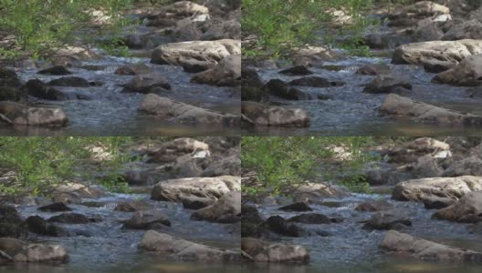 新鲜的山溪瀑布特写。高清在线视频素材下载