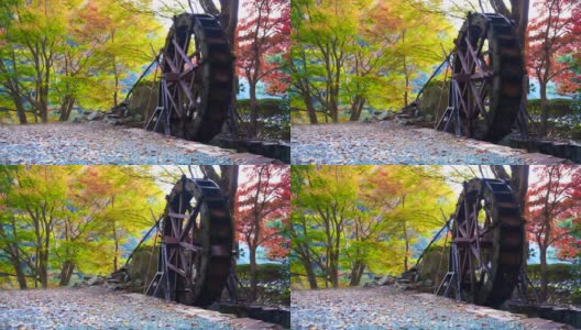 秋叶和水轮的意象高清在线视频素材下载