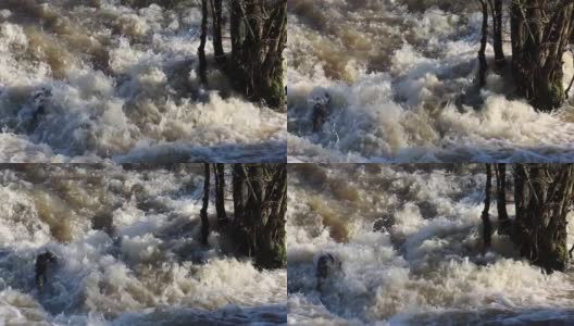 慢动作特写，树木站在泼溅的肮脏的棕色洪水的水流中高清在线视频素材下载