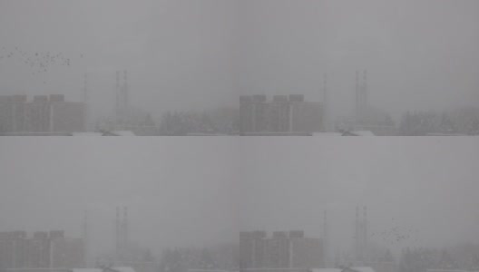 在一个雾蒙蒙的冬天的早晨，烟从烟囱里冒出来高清在线视频素材下载