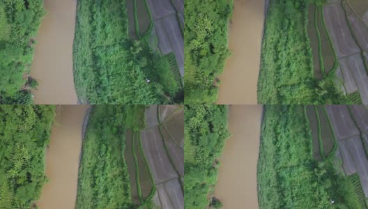 无人机拍摄的印尼热带腹地景观，看起来稻田、大河和树木依然美丽高清在线视频素材下载