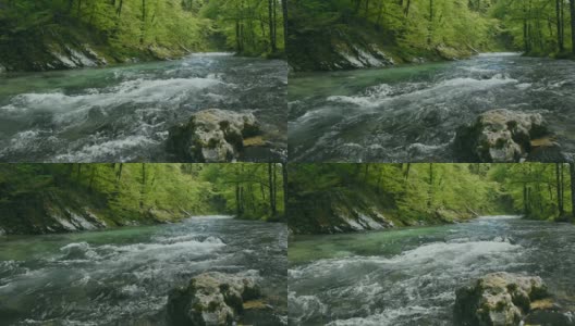 斯洛文尼亚朱利安阿尔卑斯山，布莱德附近的Vintgar峡谷，拉多夫纳河湍急清澈的河水。高清在线视频素材下载
