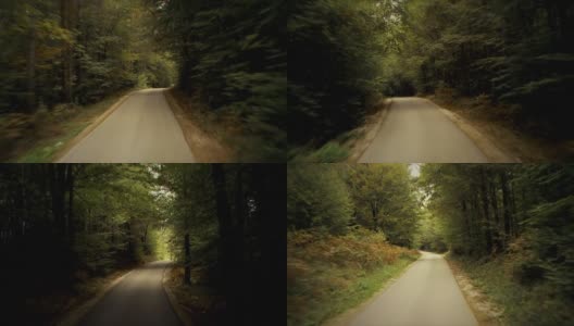 森林道路驾驶:HD, NTSC, PAL高清在线视频素材下载